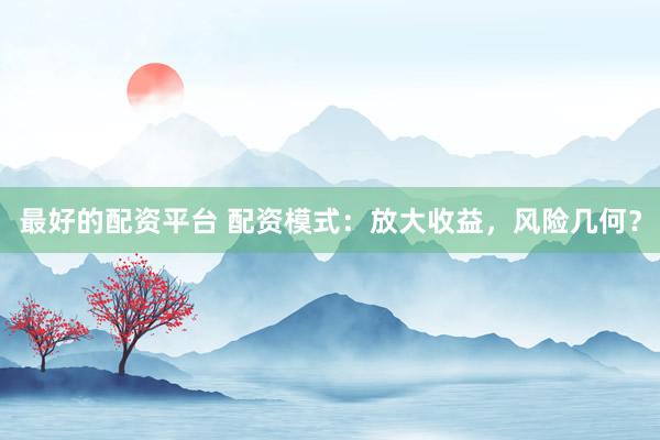 最好的配资平台 配资模式：放大收益，风险几何？