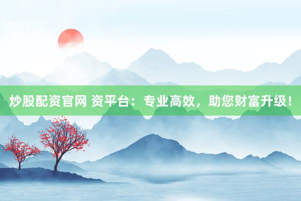 炒股配资官网 资平台：专业高效，助您财富升级！