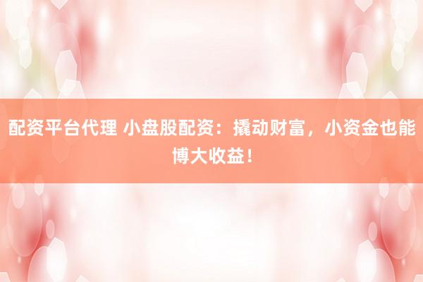 配资平台代理 小盘股配资：撬动财富，小资金也能博大收益！