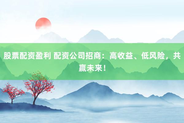 股票配资盈利 配资公司招商：高收益、低风险，共赢未来！