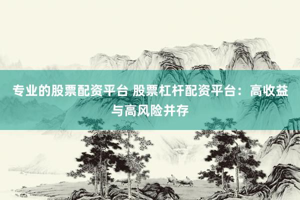 专业的股票配资平台 股票杠杆配资平台：高收益与高风险并存