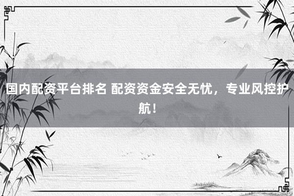 国内配资平台排名 配资资金安全无忧，专业风控护航！
