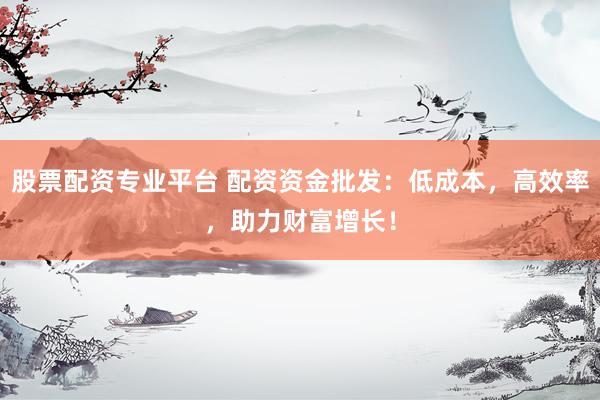 股票配资专业平台 配资资金批发：低成本，高效率，助力财富增长！