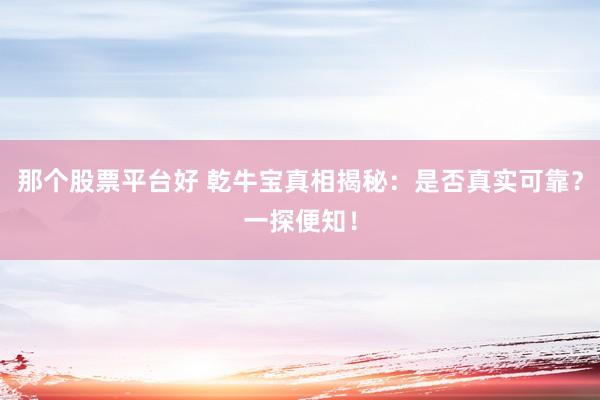 那个股票平台好 乾牛宝真相揭秘：是否真实可靠？一探便知！
