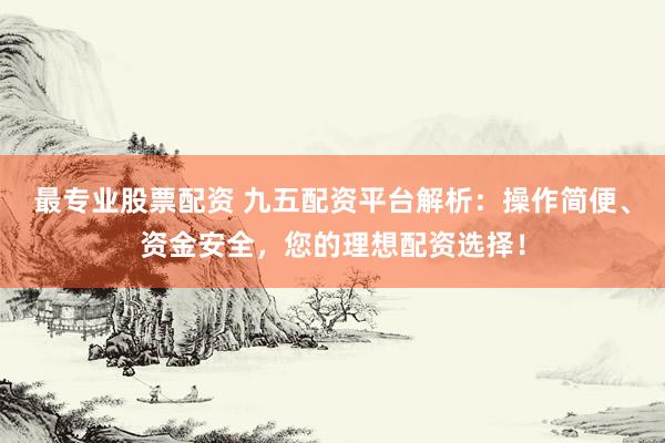 最专业股票配资 九五配资平台解析：操作简便、资金安全，您的理想配资选择！