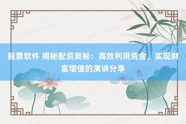 股票软件 揭秘配资奥秘:高效利用资金,实现财富增值的演讲分享